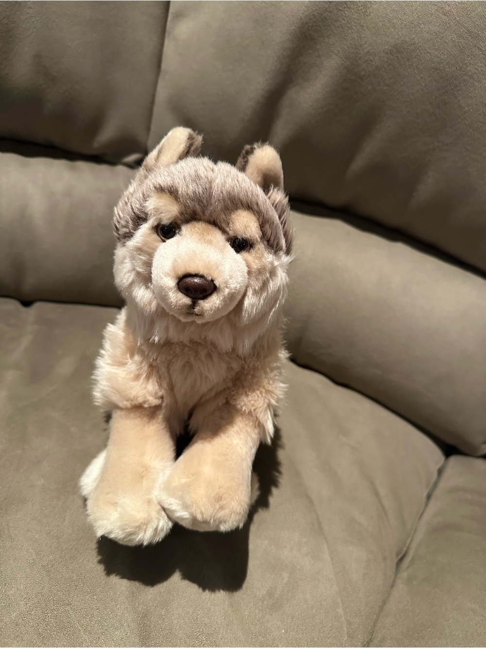 Webkinz Signature Timber Wolf (No code)